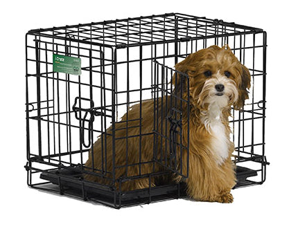 Dog crate with 2 doors best sale